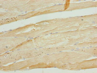 CSB-PA880142LA01HU