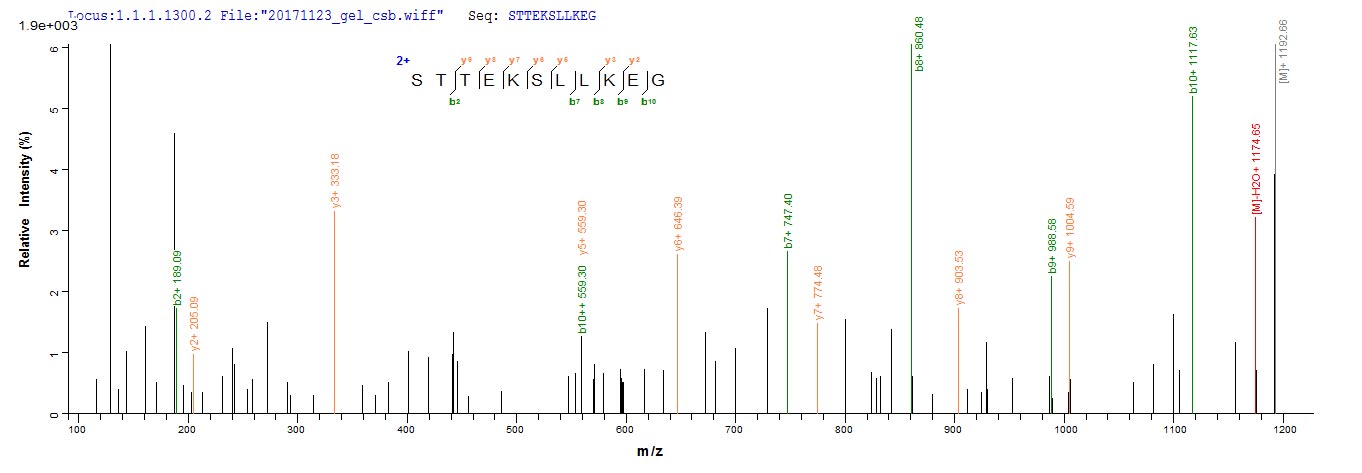 CSB-EP010996HU